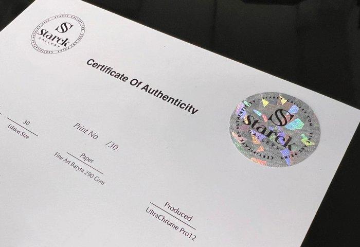 Easy Rider (1969) - Dennis Hopper and Peter Fonda, with Luke, Collections, Cinéma & Télévision