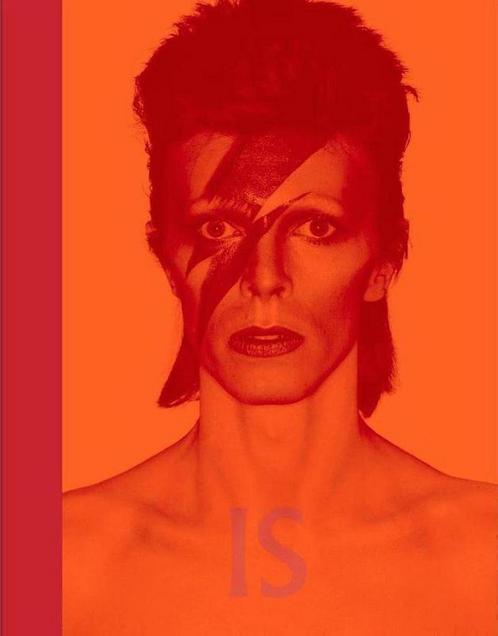 David Bowie IS 9789401604741 David Bowie, Boeken, Muziek, Zo goed als nieuw, Verzenden