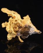 pépite dor cristallisée - Australie 0,55 g Pépite - Hauteur