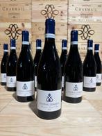 2022 Château Cesseras Olric - Languedoc, Minervois - 12, Nieuw