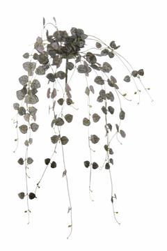 Ceropegia hanger l60cm grijs  Prachtige hanger, Maison & Meubles, Accessoires pour la Maison | Plantes & Fleurs artificielles