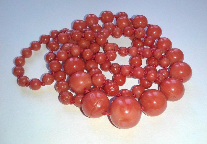 Mediterrane Koralen tot 13 mm Ø - 74 cm lang - 42,3 gr -, Verzamelen, Mineralen en Fossielen