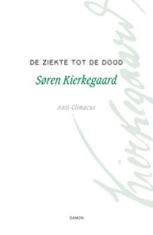 De ziekte tot de dood / Kierkegaard Werken 9789055739127, Boeken, Filosofie, Gelezen, Verzenden