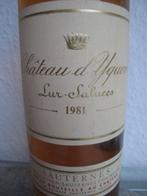 1981 Château dYquem - Bordeaux 1er Cru Supérieur - 1, Verzamelen, Nieuw