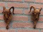 Pair of goat heads | Wall Ornaments | Home decoration (2) -