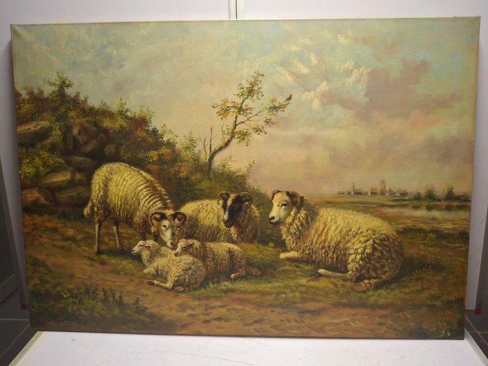 Willekens (XX) - Rustende schapen, Antiek en Kunst, Kunst | Schilderijen | Klassiek