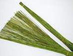 Vleireet Koffieriet Appelgroen Mikado 400 gram 80 cm, Nieuw