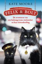 Felix & Bolt (9789402710397, Kate Moore), Nieuw, Verzenden