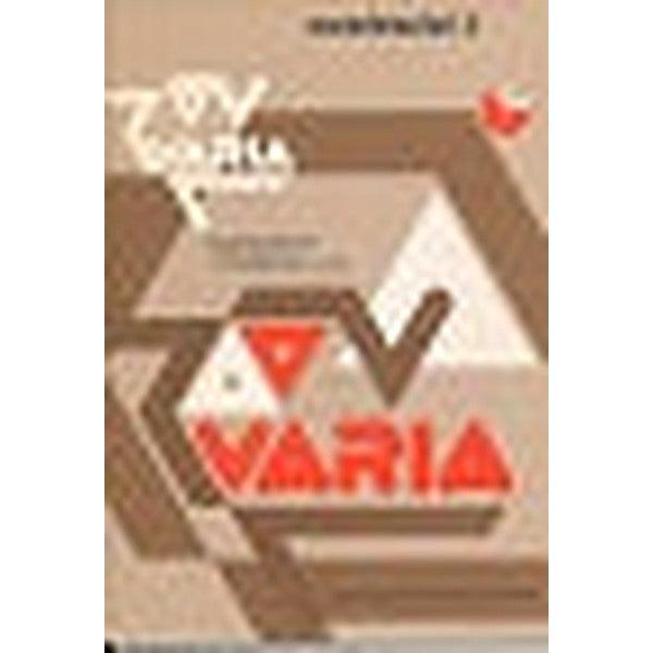 Varia Woordenschat B groep 4-5, Boeken, Schoolboeken, Verzenden