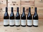 2022 Donna Olimpia 1898, Bianco - Bolgheri DOC - 6 Flessen, Verzamelen, Nieuw