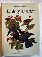 John James Audubon/ Katrina Cook - Birds of America / Birds