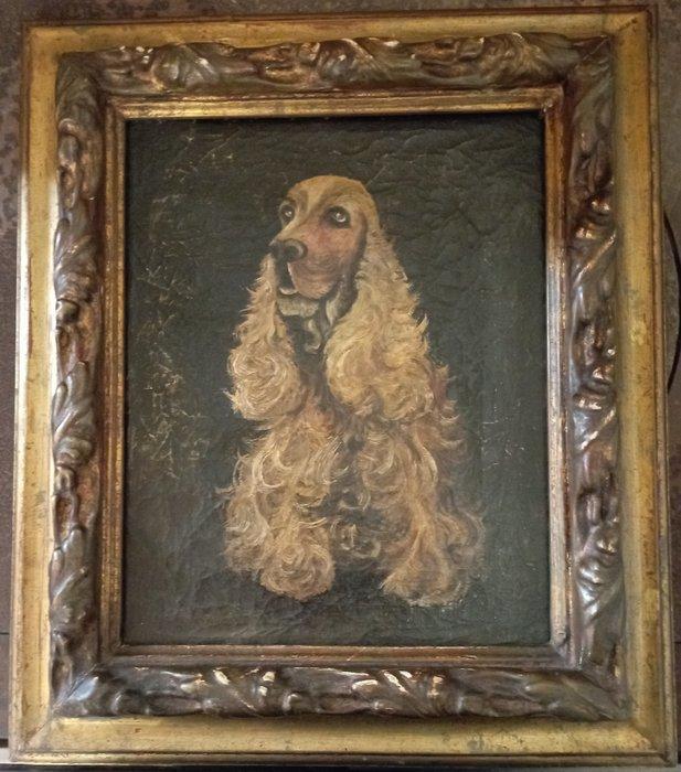 European School (XX) - Ritratto di English Cocker Spaniel, Antiek en Kunst, Kunst | Schilderijen | Klassiek