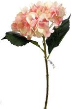 Hortensia Hydrangea Peach Zijdenbloem Single 46 cm, Nieuw