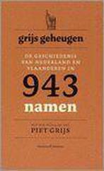 Grijs geheugen 9789085420019, Boeken, Geschiedenis | Nationaal, Verzenden, Zo goed als nieuw