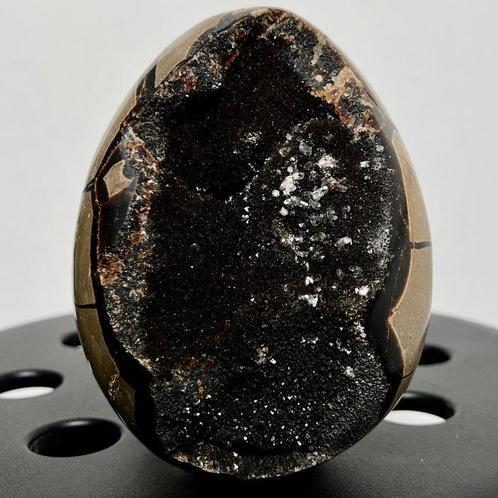 Septaria cristaux noirs sauvages Beau gros œuf de cristaux, Verzamelen, Mineralen en Fossielen