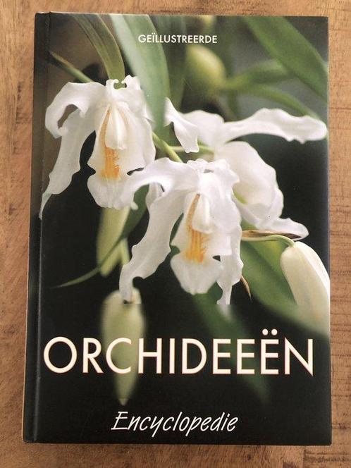 Geïllustreerde Orchideeën Encylopedie 9789039620007, Boeken, Overige Boeken, Zo goed als nieuw, Verzenden