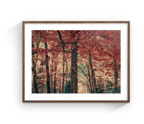 Jorge Omeñaca - Forest bath, Antiek en Kunst, Kunst | Schilderijen | Modern
