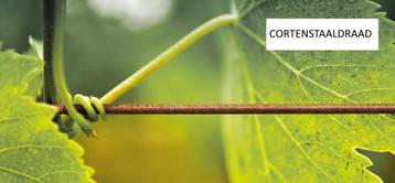 CORTENSTAALDRAAD - voor omheining, wijngaard, klimplanten,..