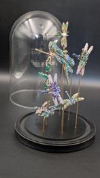 Themacollectie - Libellenbrochescollectie in Belljar