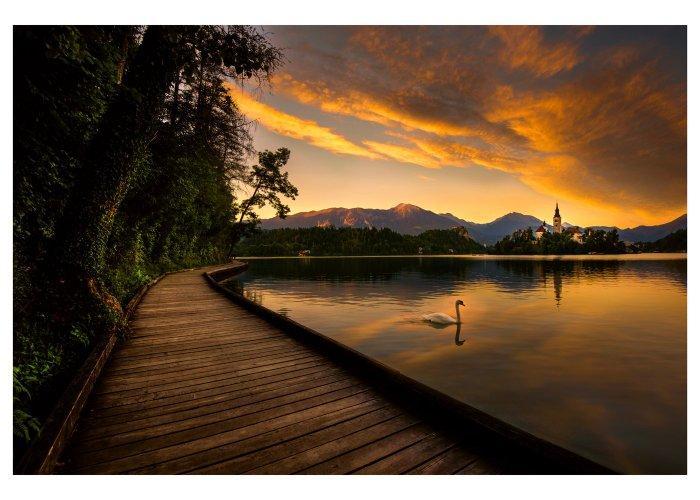 Elena Paraskeva - SOLITUDE AT BLED (2015)- XL, Antiek en Kunst, Kunst | Designobjecten