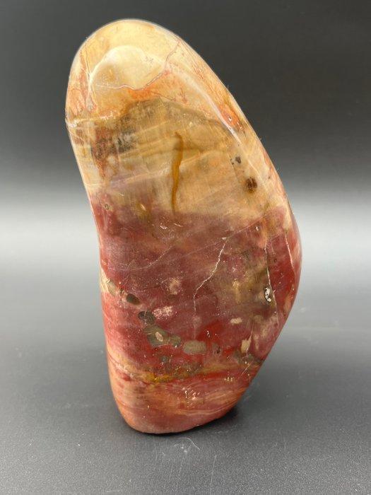 Versteend hout Vrije vorm - Hoogte: 15 cm - Breedte: 9 cm-, Verzamelen, Mineralen en Fossielen