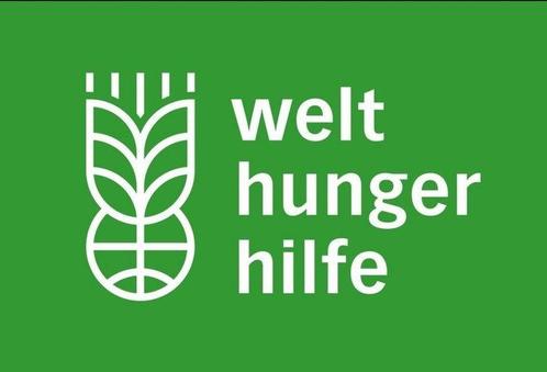 World Hunger Campaign - The Concert For Bangladesh / Thank, Cd's en Dvd's, Vinyl Singles