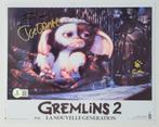 Gremlins (1984) - Joe Dante (Director) - Autograph, Photo, Verzamelen, Nieuw