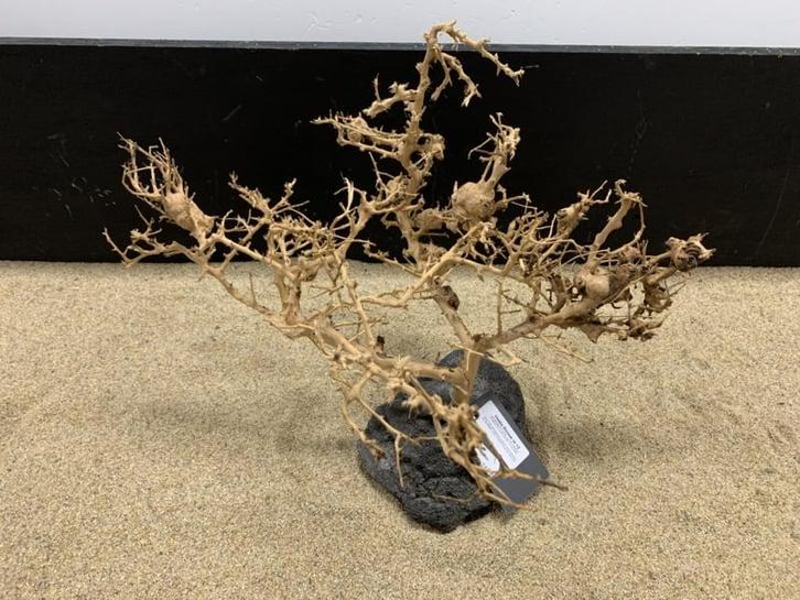 Osaka Bonsai Tree nr 12 - 45x30x30cm - aquascaping boom, Dieren en Toebehoren, Vissen | Aquaria en Toebehoren, Plant(en), Steen of Hout