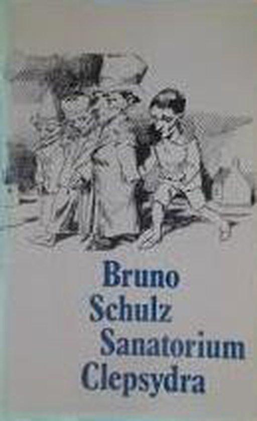 Sanatorium clepsydra 9789029012522 Schulz, Livres, Livres Autre, Envoi