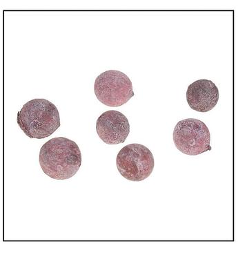 Pal Fruit Terra cotta 200gr Pal Fruit Terra cotta 200