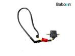 Pickup Honda CBR 1100 XX Blackbird 1999-2006 (CBR1100XX, Verzenden, Gebruikt