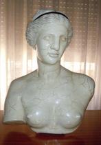 A. Gianelli - sculptuur, Busto Venus de Milo (años 60) -, Nieuw