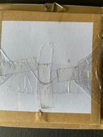 Vlinder Taxidermie volledige montage - Diaethria clymena -, Verzamelen, Dierenverzamelingen, Nieuw