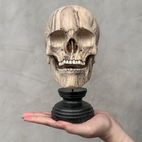 Snijwerk, Stunning Wooden Human Skull With A Beautiful Grain, Antiek en Kunst, Kunst | Designobjecten