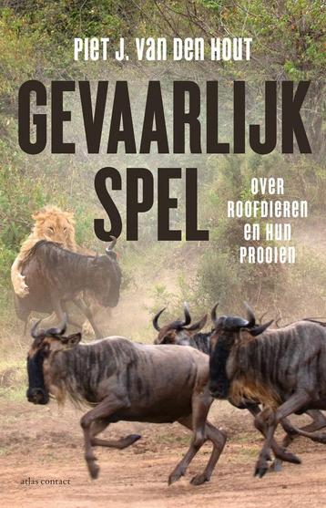Gevaarlijk spel (9789045038742, Piet J. van den Hout)