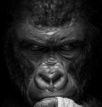 Off Axis - Primal Thought XXL - Œuvre unique 1/1