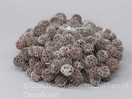 Liquidambar Fruit White Wash 500 gram, Huis en Inrichting, Woonaccessoires | Kunstplanten en Kunstbloemen, Nieuw