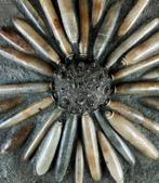 Enorme fossiele zeester van hoge kwaliteit!!! - Schelp met, Verzamelen