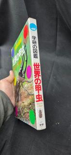 1 Asian book on beetles with beautiful illustrations for