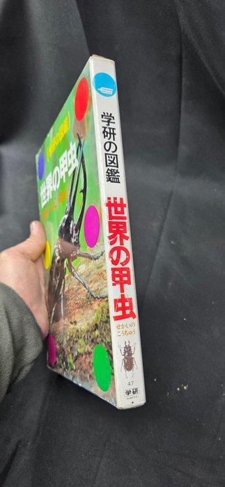 1 Asian book on beetles with beautiful illustrations for, Verzamelen, Dierenverzamelingen