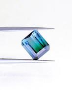 Meerkleurig Toermalijn - 3.31 ct - Antwerp Laboratory for