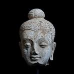 Gandhara Gips Hoofd van Boeddha - 3e-5e eeuw na Christus
