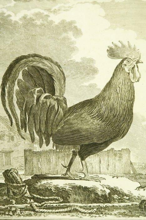 Buffon - Histoire naturelle des oiseaux. Tome second [27, Antiek en Kunst, Antiek | Boeken en Manuscripten