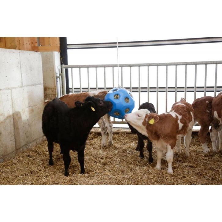 Hooibal hooiruif bal voederbal voor paard ezel blauw - kerbl, Dieren en Toebehoren, Stalling en Weidegang