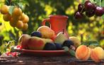 Fruitbomen diversen vormen en groot sortiment in soorten, Jardin & Terrasse, Plantes | Arbres fruitiers, Verzenden