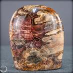 Vrije vorm van versteend hout met de hand gepolijst- 1249.03, Antiek en Kunst