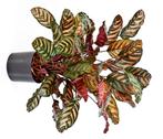 Kunstplant Calathea Rood 80 cm, Huis en Inrichting, Kamerplanten, Verzenden