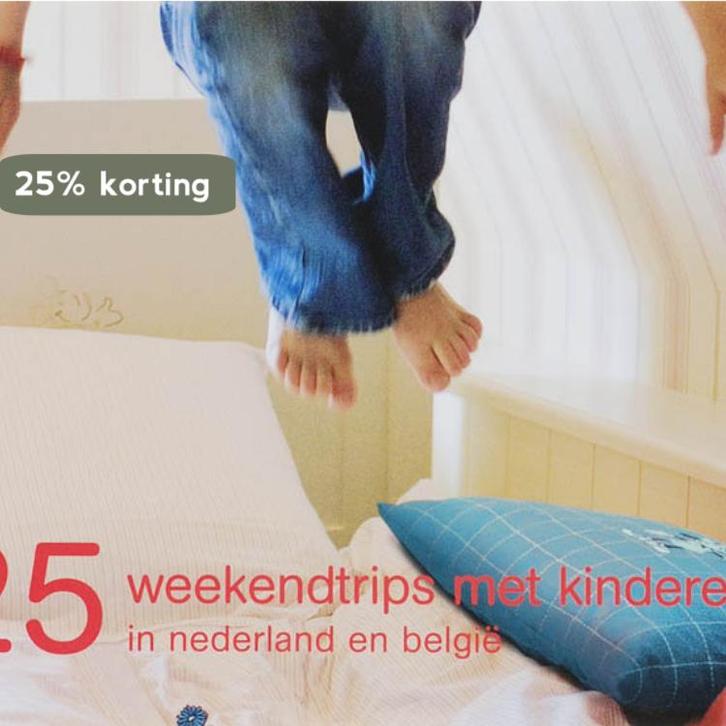 25 Weekendtrips Met Kinderen 9789057672668 N. van der Ploeg, Boeken, Reisgidsen, Zo goed als nieuw, Verzenden