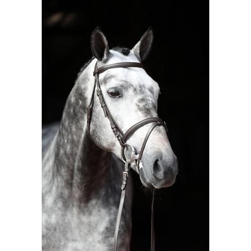 Bridon standard cuir pour shetty, brun - kerbl, Dieren en Toebehoren, Paarden en Pony's | Overige Paardenspullen