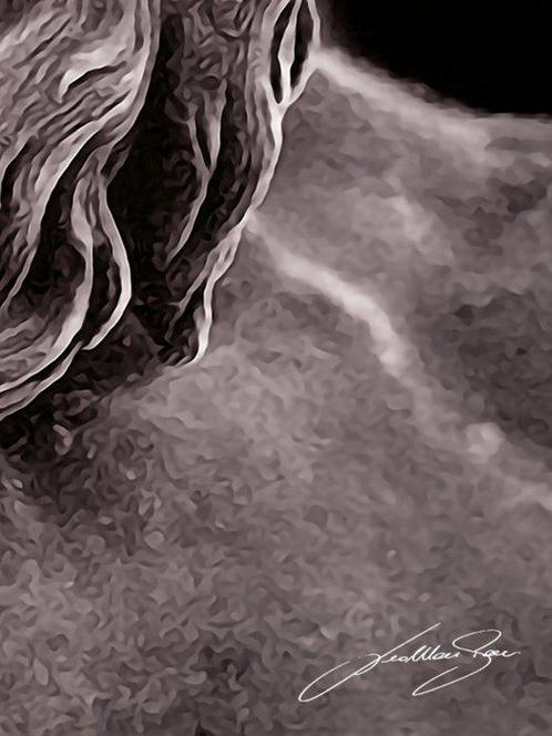 LEDMansion (1995) - Zeus Censored – Divinità e Dissacrazione, Antiek en Kunst, Kunst | Tekeningen en Fotografie